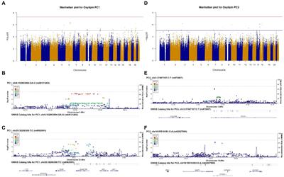 Genome-wide analysis of oxylipins and oxylipin profiles in a pediatric population